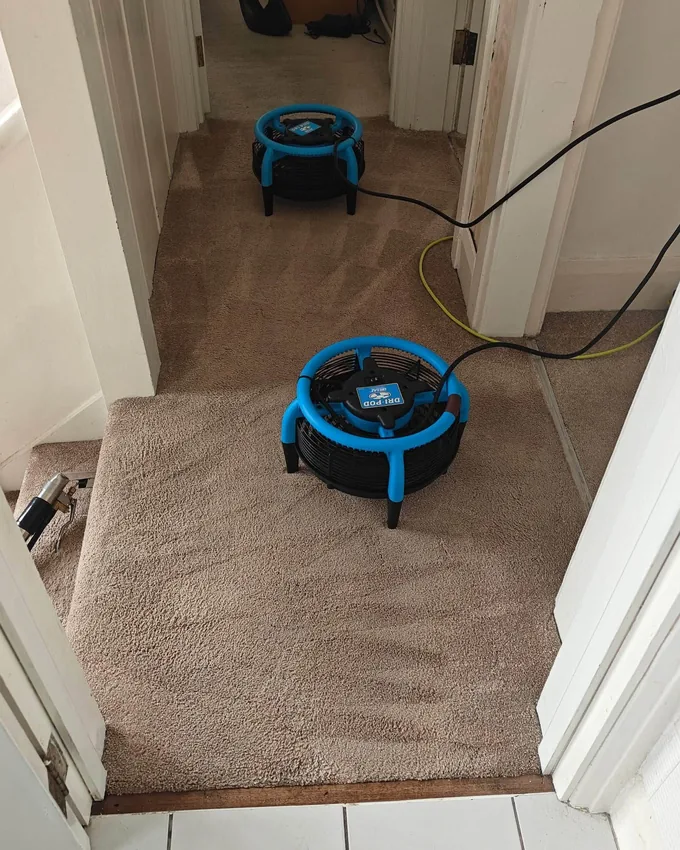Professional air movers drying a hallway carpet after a deep clean