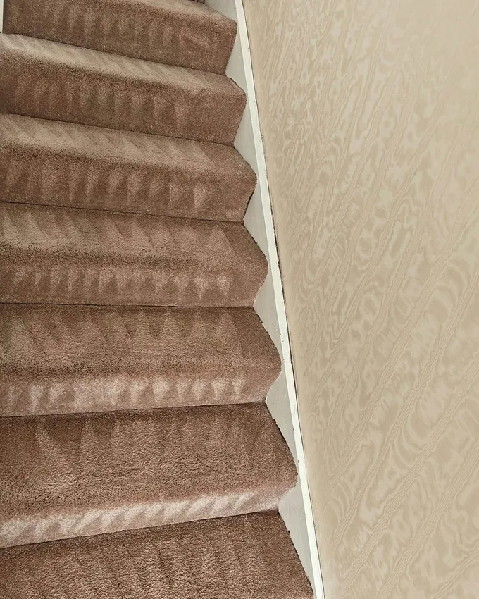 Stair carpet after deep cleaning, with fresh grooming marks on every tread